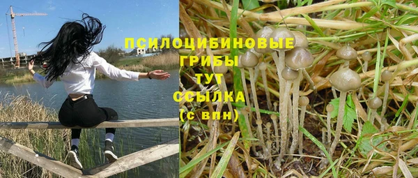 мдпв Алзамай