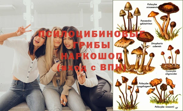 шишки Алексеевка