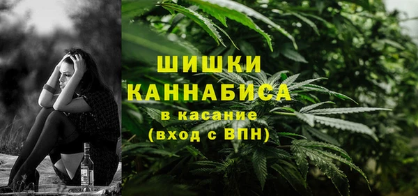 прущие грибы Сафоново