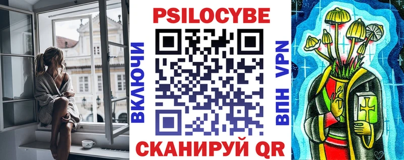 Галлюциногенные грибы Psilocybe  Змеиногорск 